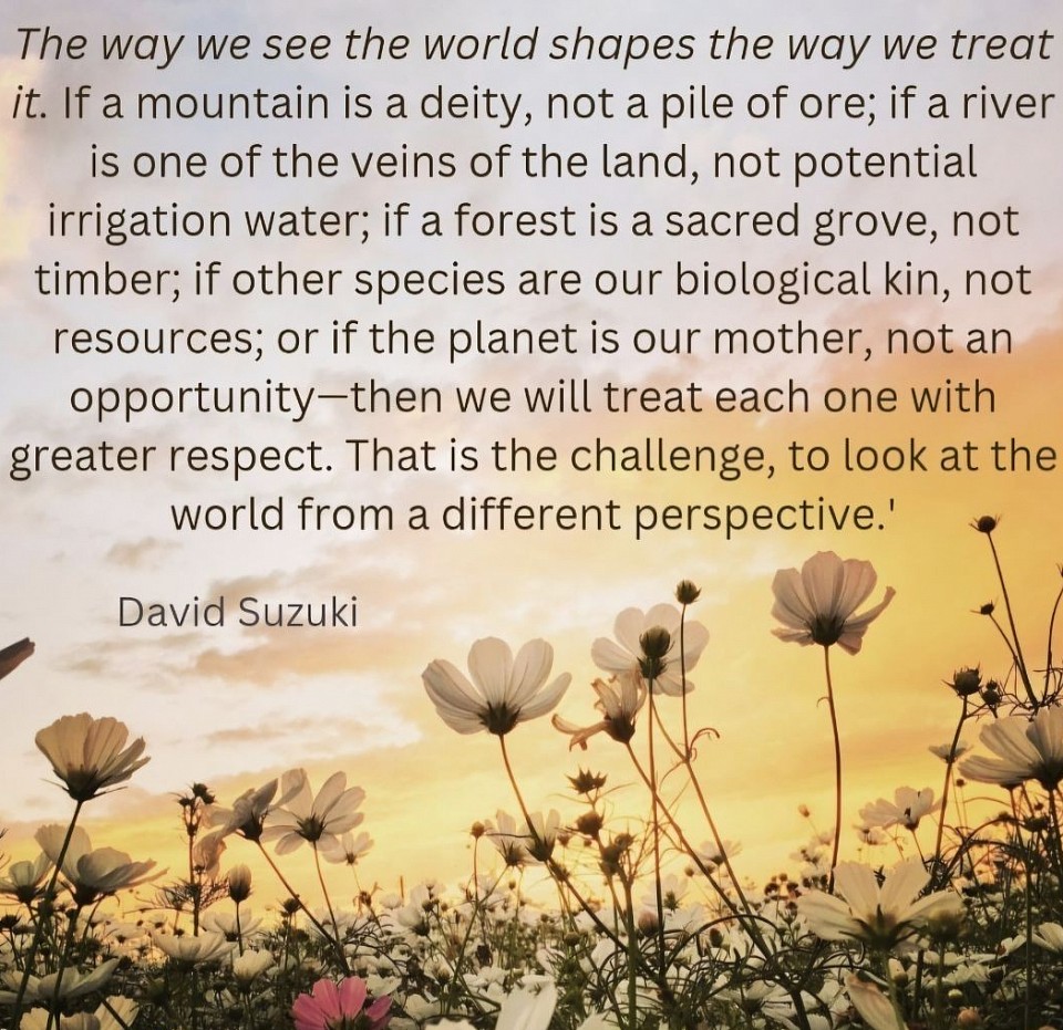 Words of Wisdom. David Suzuki